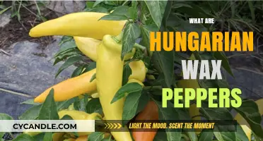 Exploring the Flavor and Uses of Hungarian Wax Peppers