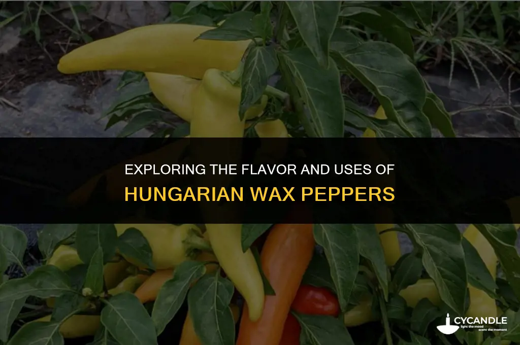 what are hungarian wax peppers