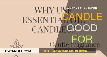 Lavender Candles: Benefits and Uses for Your Space