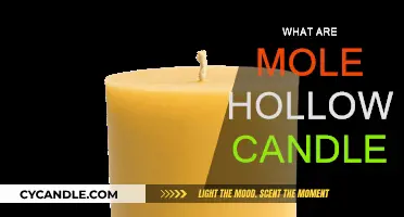 Mole Hollow Candles: Hand-Dipped, Long-Burning, and Unique