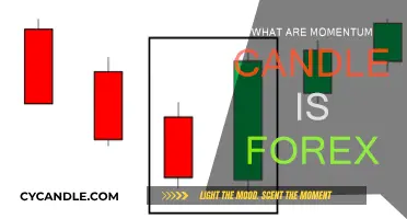 Momentum Candles: Unlocking Forex Trading Secrets