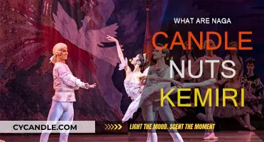Candle Nuts: The Secret Ingredient in Your Dish