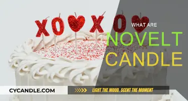 Explore the Unique World of Novelty Candles