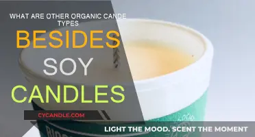 Explore Natural Candles: Soy Alternatives