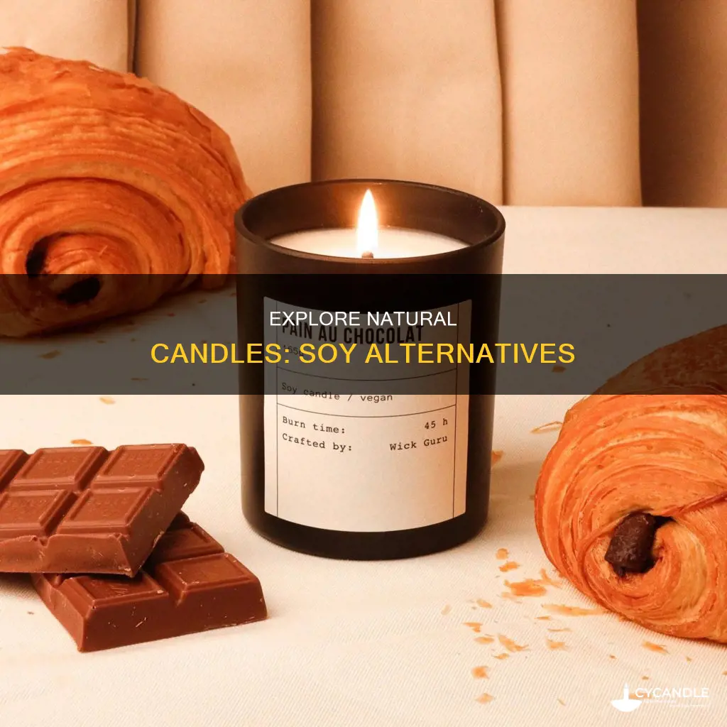 what are other organic cande types besides soy candles