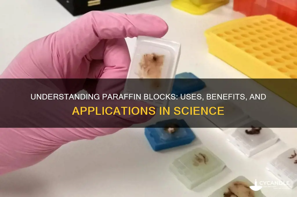 what are paraffin blocks