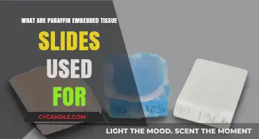 Understanding the Uses of Paraffin Embedded Tissue Slides in Pathology