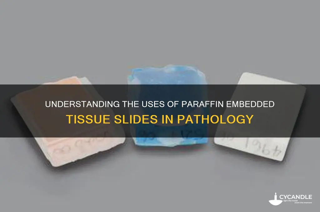 what are paraffin embedded tissue slides used for