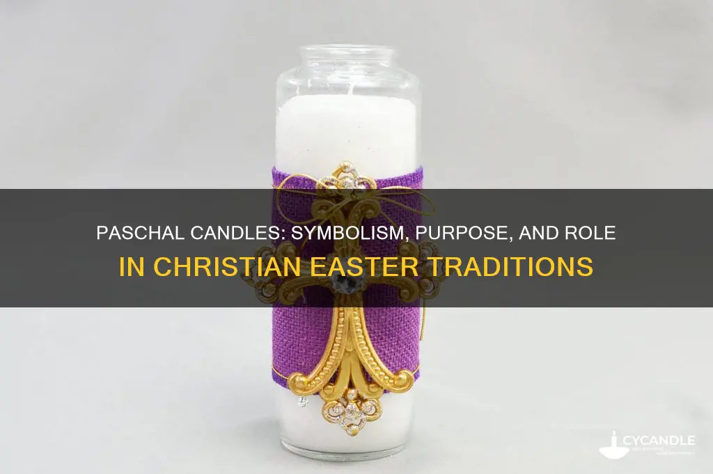 what are paschal candles used for