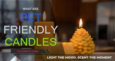 Candles for Pet Owners: Safe Scents for Homes with Animals