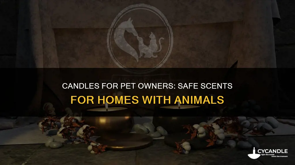 what are pet friendly candles