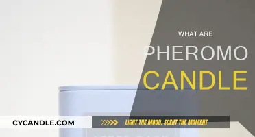 Explore the Power of Pheromone Candles