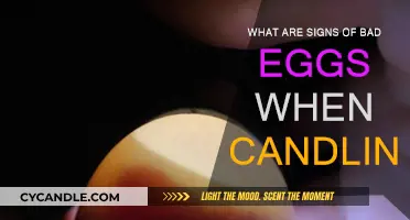 How to Identify Bad Eggs While Candling