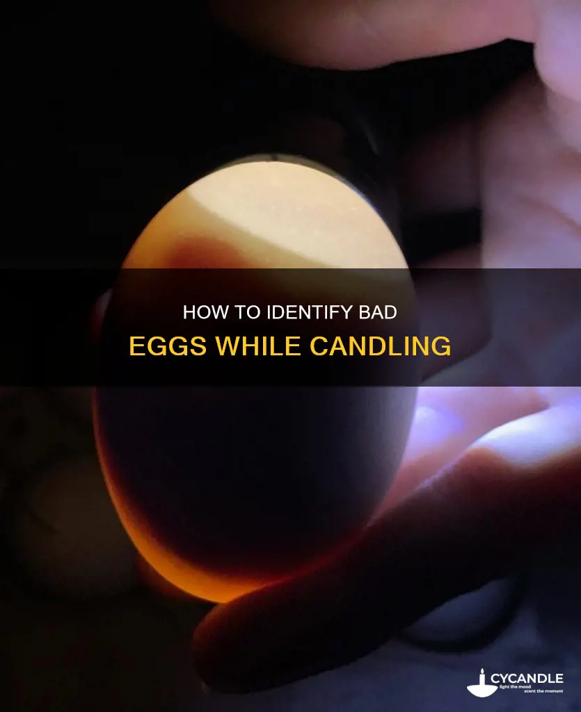 what are signs of bad eggs when candling