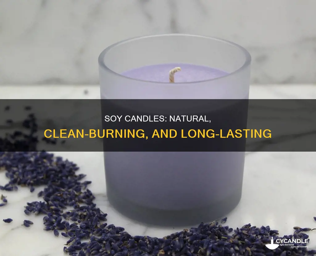 what are soy based candles