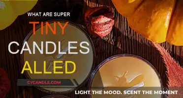 Tiny Candles: What Are These Little Lights Called?