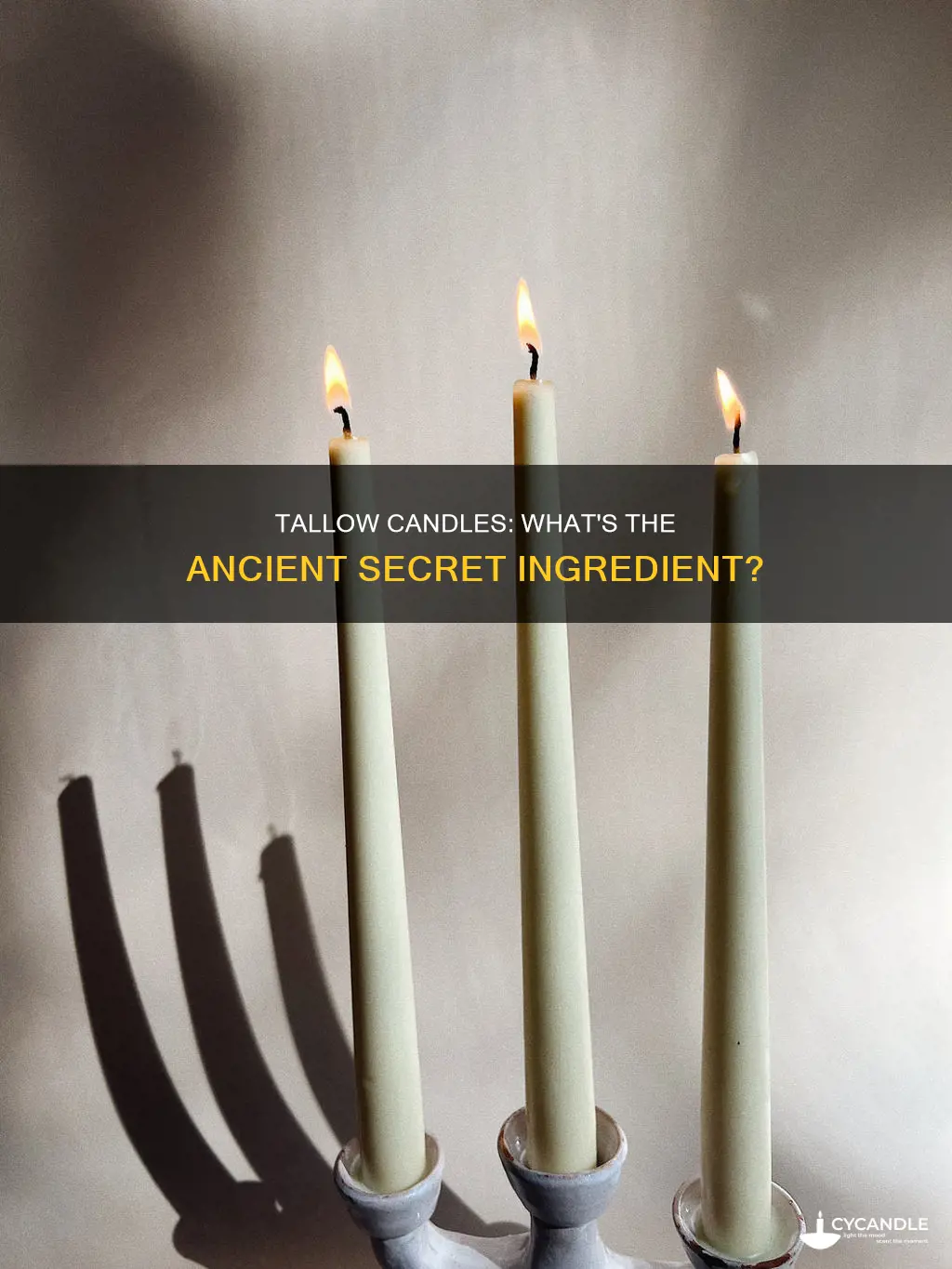 what are tallow candles made from