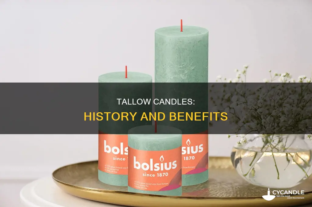 what are tallow candles