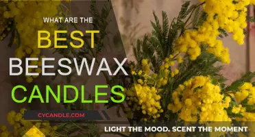 Beeswax Candles: The Best Natural Lighting Option