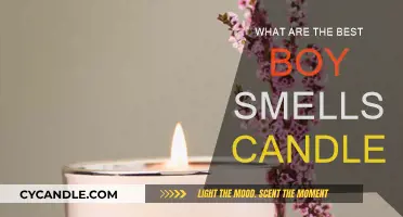 Boy Smells Candles: The Best Scents for Your Home
