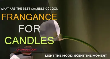 Candle Cocoon Fragrances: The Best Scents for Your Space