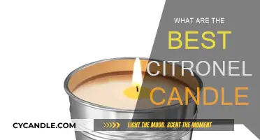 Citronella Candles: Best Options for a Pest-Free Summer