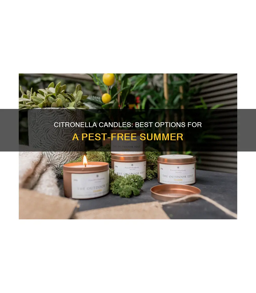 what are the best citronella candles