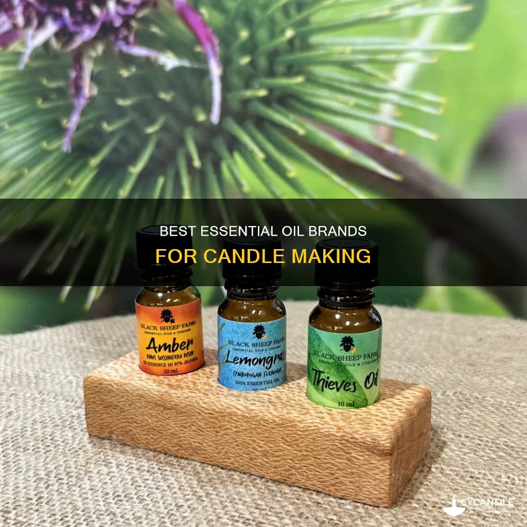 what are the best essential oil brands for candle making