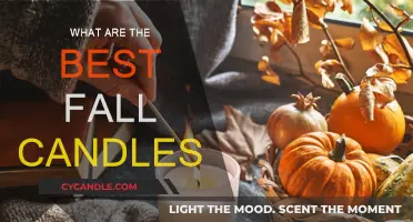 Cozy Autumn Nights: The Best Fall Candles