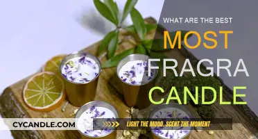 Fragrant Candles: The Best Scents for Your Space