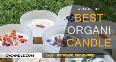 Organic Candles: Natural Scents for Your Home