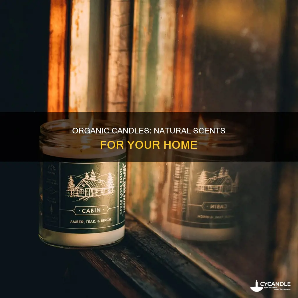 what are the best organic candles