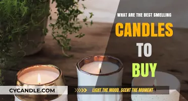 Discover the Most Aromatic Candles to Elevate Your Space