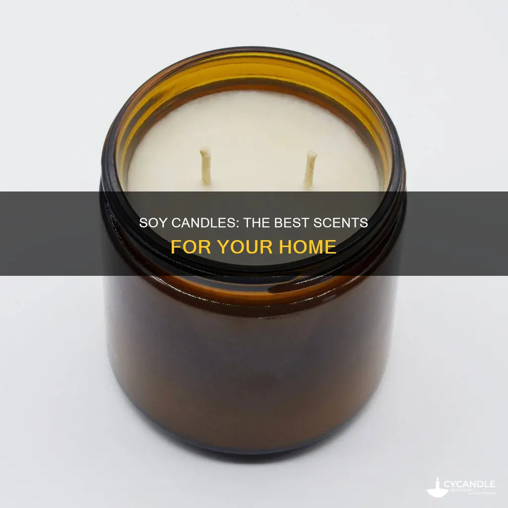 what are the best smelling soy candles