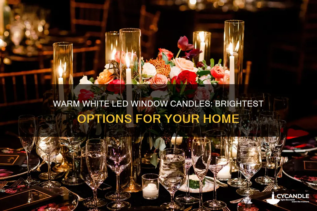 what are the brightest warm white led window candles