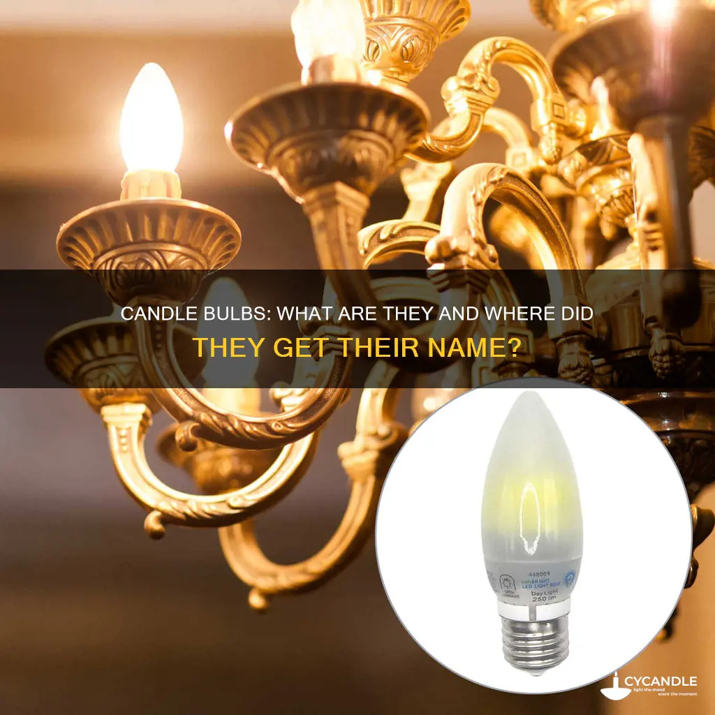 what are the candle looking bulbs called