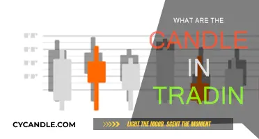 Candlestick Trading: How to Read Candles Like a Pro