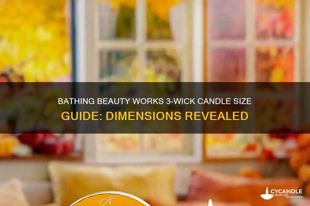what are the dimensions of a bbw 3 wick candle