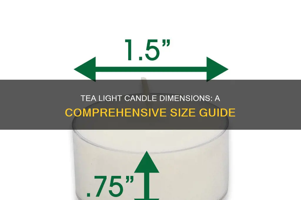 what are the dimensions of a tea light candle