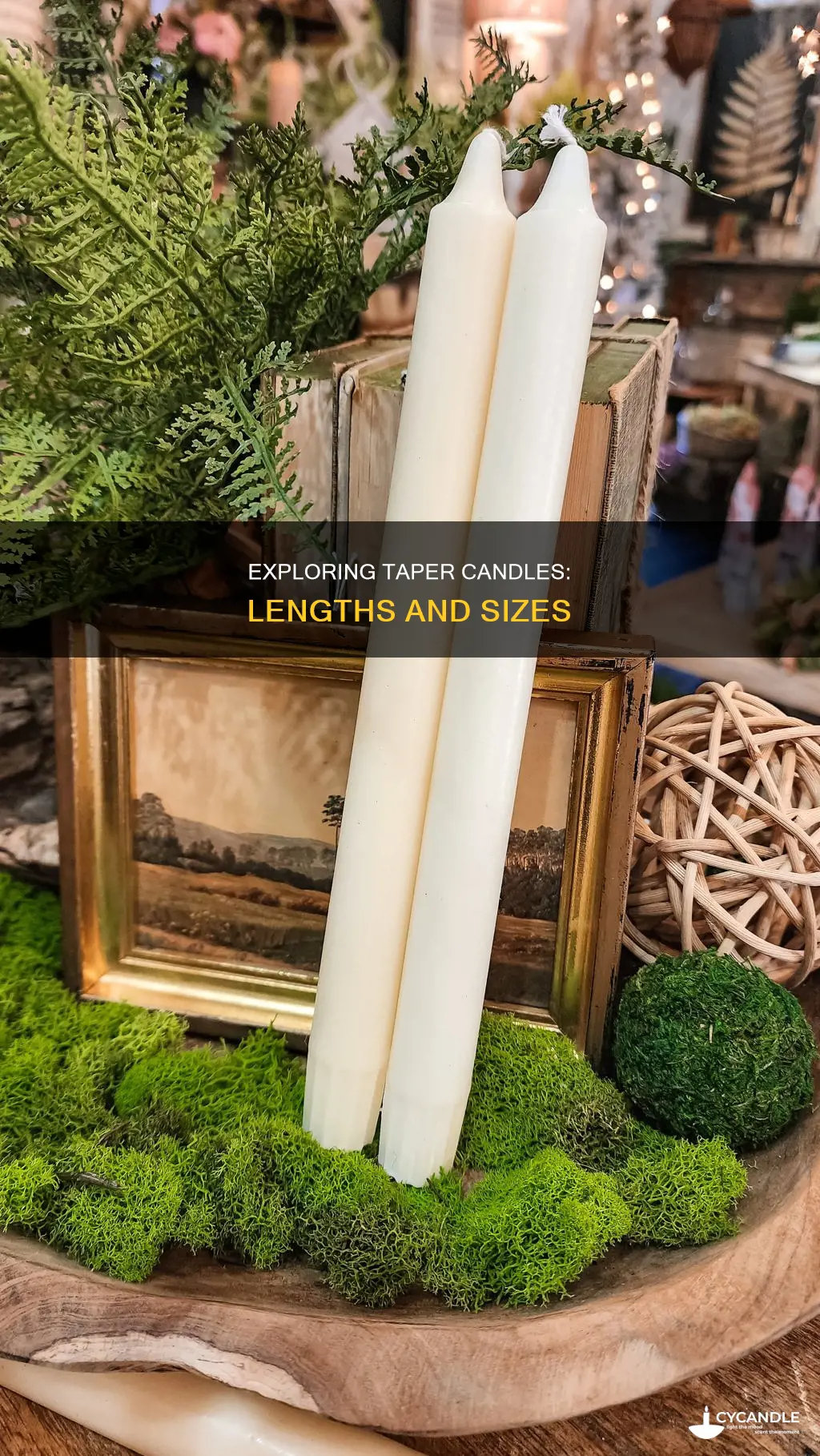 what are the lengths of tapper candles