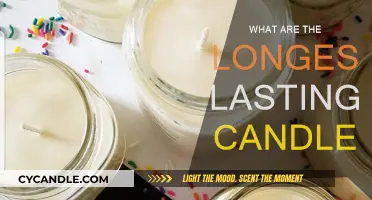 Best Long-Lasting Candles: How to Get the Most for Your Money
