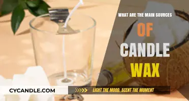 Exploring the Primary Sources of Candle Wax: A Comprehensive Guide