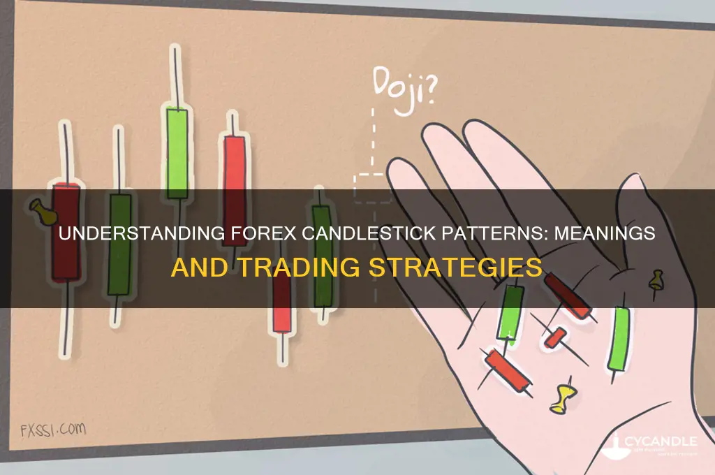 what are the meanings of the candles in forex trading