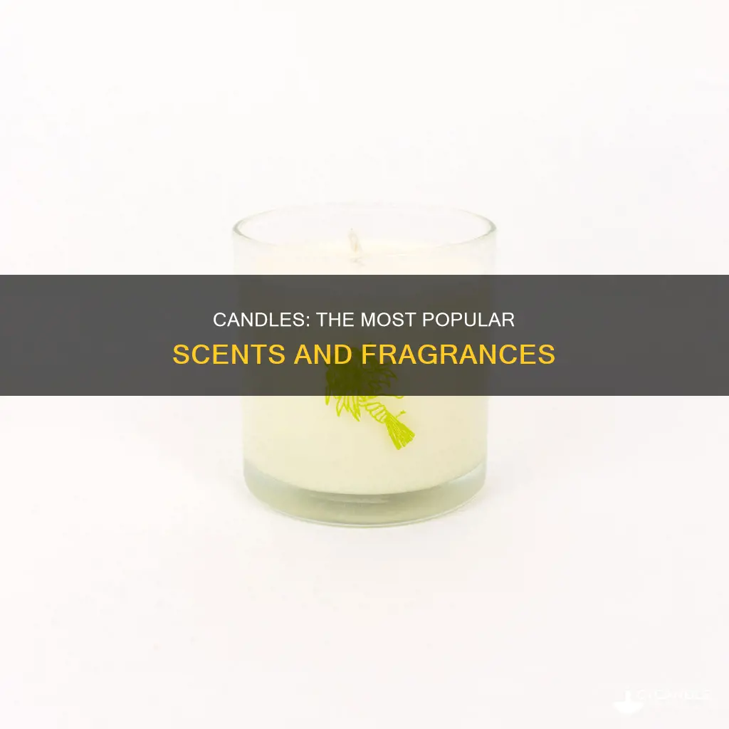 what are the most popular candles