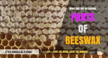 Understanding the Octagonal Parts of Beeswax: Structure and Purpose