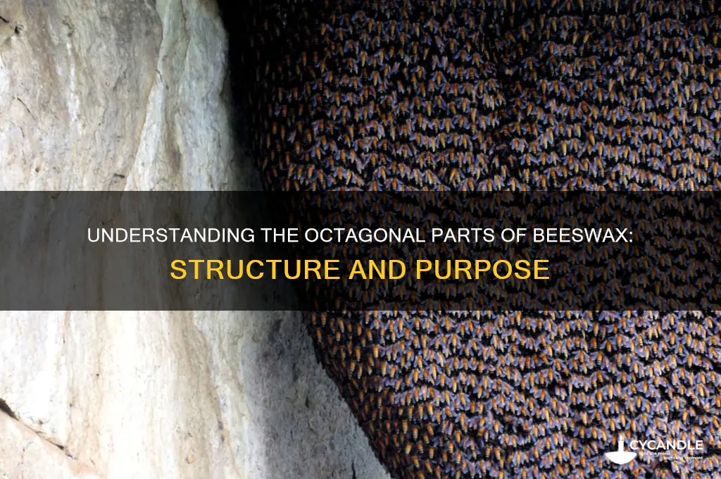 what are the octagonal parts of beeswax