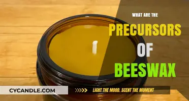 Unveiling the Natural Origins and Precursors of Beeswax Production