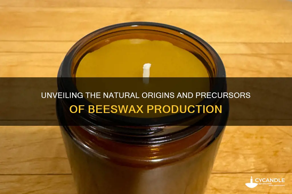 what are the precursors of beeswax