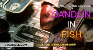 Candling Fish: Pros, Cons, and Applications