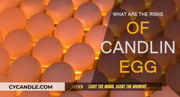 Candling Eggs: What Are the Hidden Dangers?
